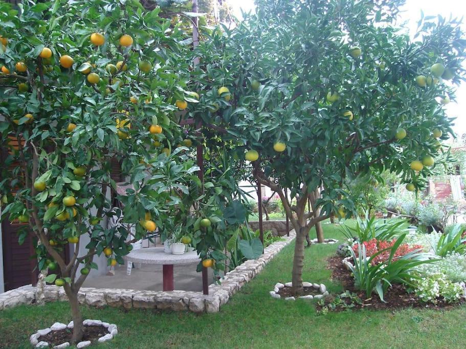 Apartment Mia - Spacious Apartment On 85 M2 With Beautiful Sea View Τρογκίρ Εξωτερικό φωτογραφία